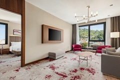 Ramada-by-Wyndham-Rize-Findikli-1-King-Bed-Suite-City-View-1519497